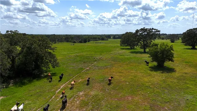 a view of a garden with an outdoor seating