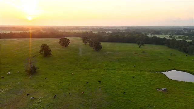 a backyard of a house with wooden fence