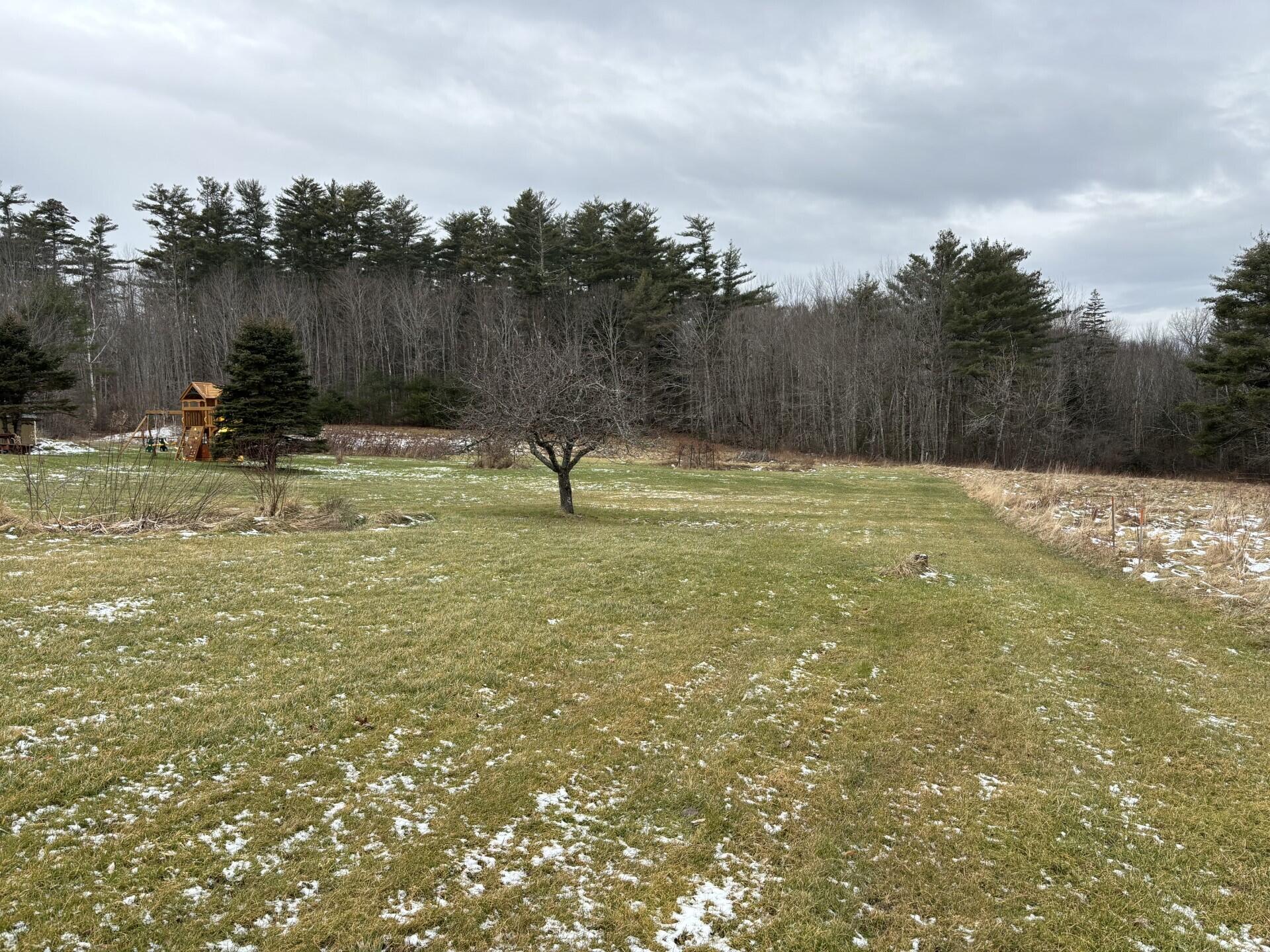 115 North Searsport Road Frankfort, ME 04438 - Photo 4 of 22 Yard_IMG_3571