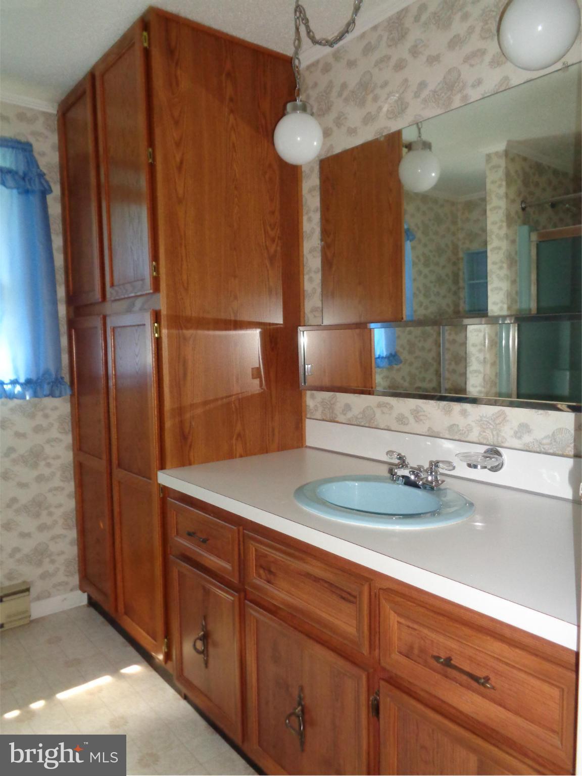 4307 York Road, Unit 1 Manchester, MD 21102 - Photo 23 of 30 a bathroom with a sink and a mirror