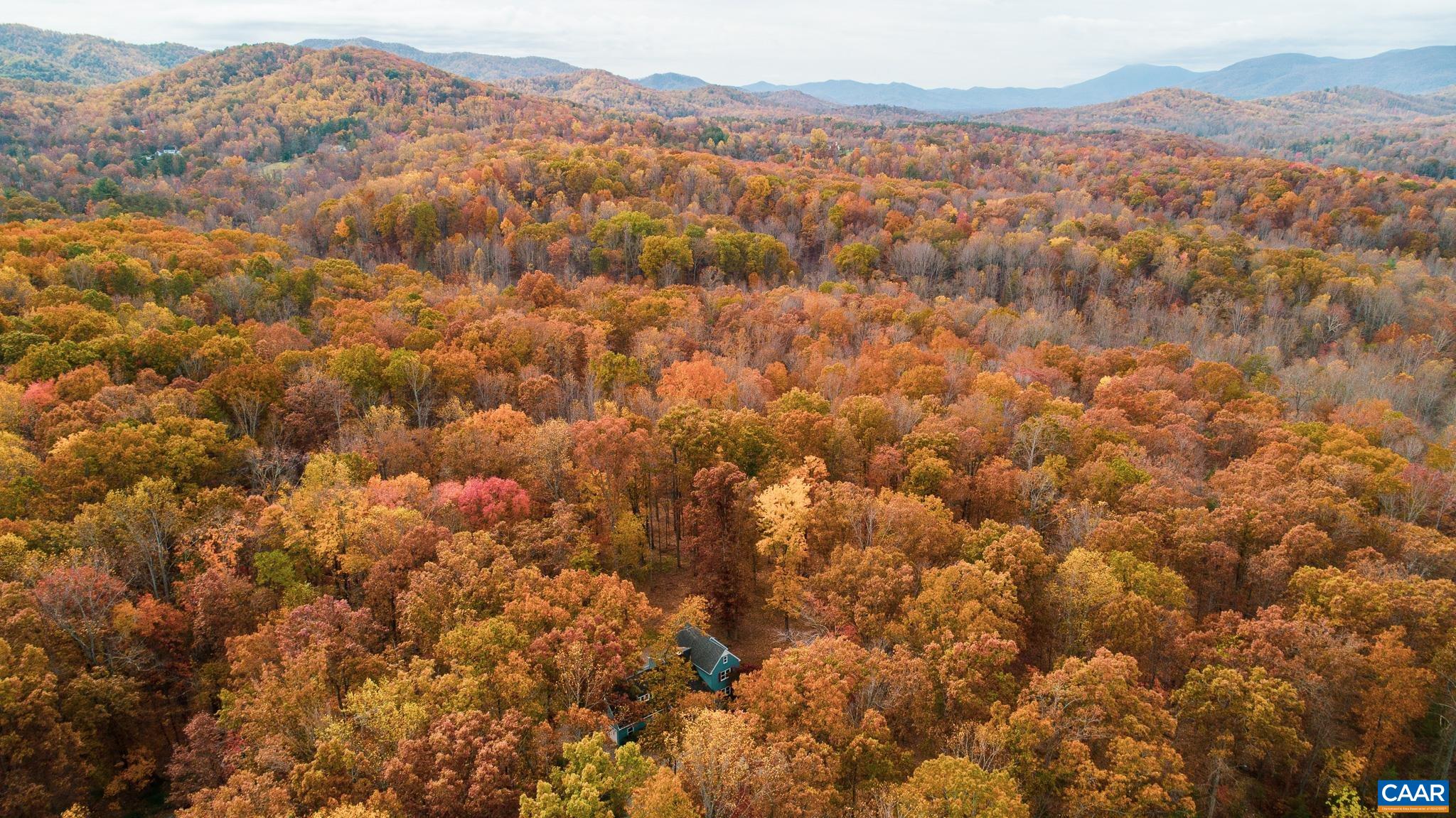 1900 Thunder Ridge Road Afton, VA 22920 - Photo 2 of 49