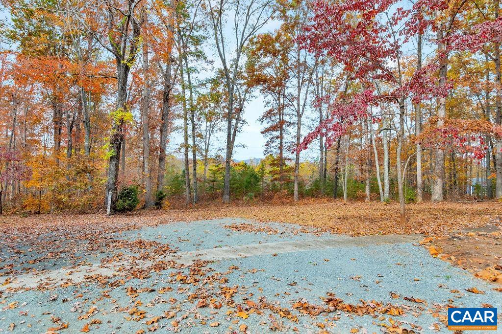 1900 Thunder Ridge Road Afton, VA 22920 - Photo 10 of 49 a backyard of a house with large trees