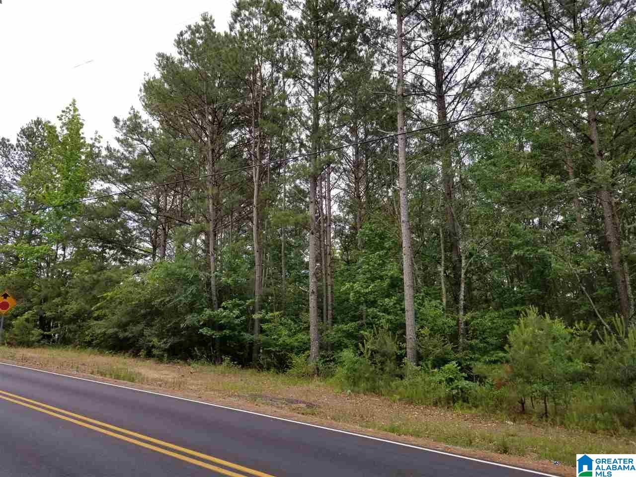 0 Pleasant Valley Road, Unit 8 42 Jacksonville, AL 36265 - Photo 10 of 10