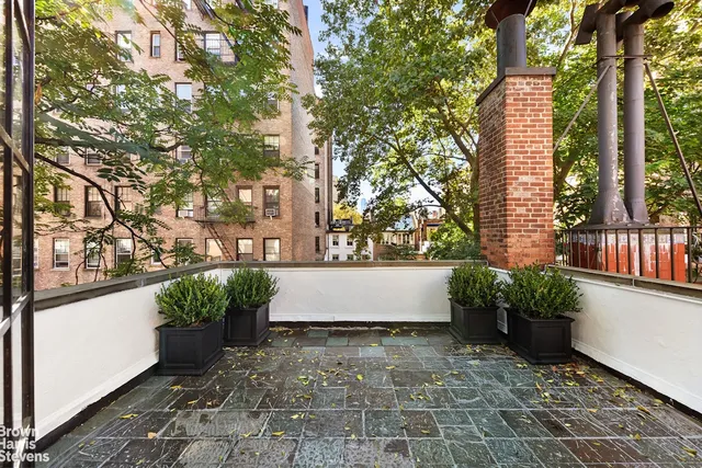 a view of a garden with plants
