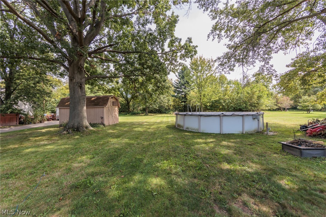 6065 Avon Belden Road North Ridgeville, OH 44039 - Photo 5 of 25 Expansive lawn featuring mature trees, an above-ground pool, and a storage shed with a gambrel roof