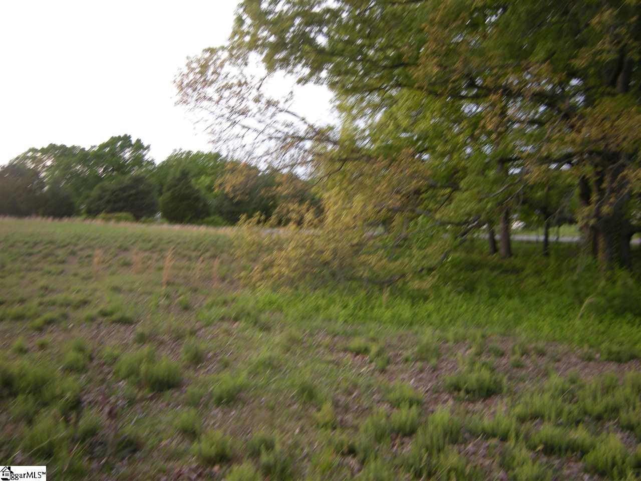 1620 Three And Twenty Road Easley, SC 29642 - Photo 3 of 7 Gallery Image 3