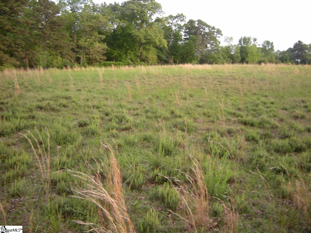 1620 Three And Twenty Road Easley, SC 29642 - Photo 4 of 7 Gallery Image 4