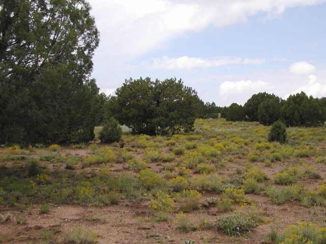 4218 Mountain View Road, Unit 98 Snowflake, AZ 85937 - Photo 1 of 3 Primary Photo
