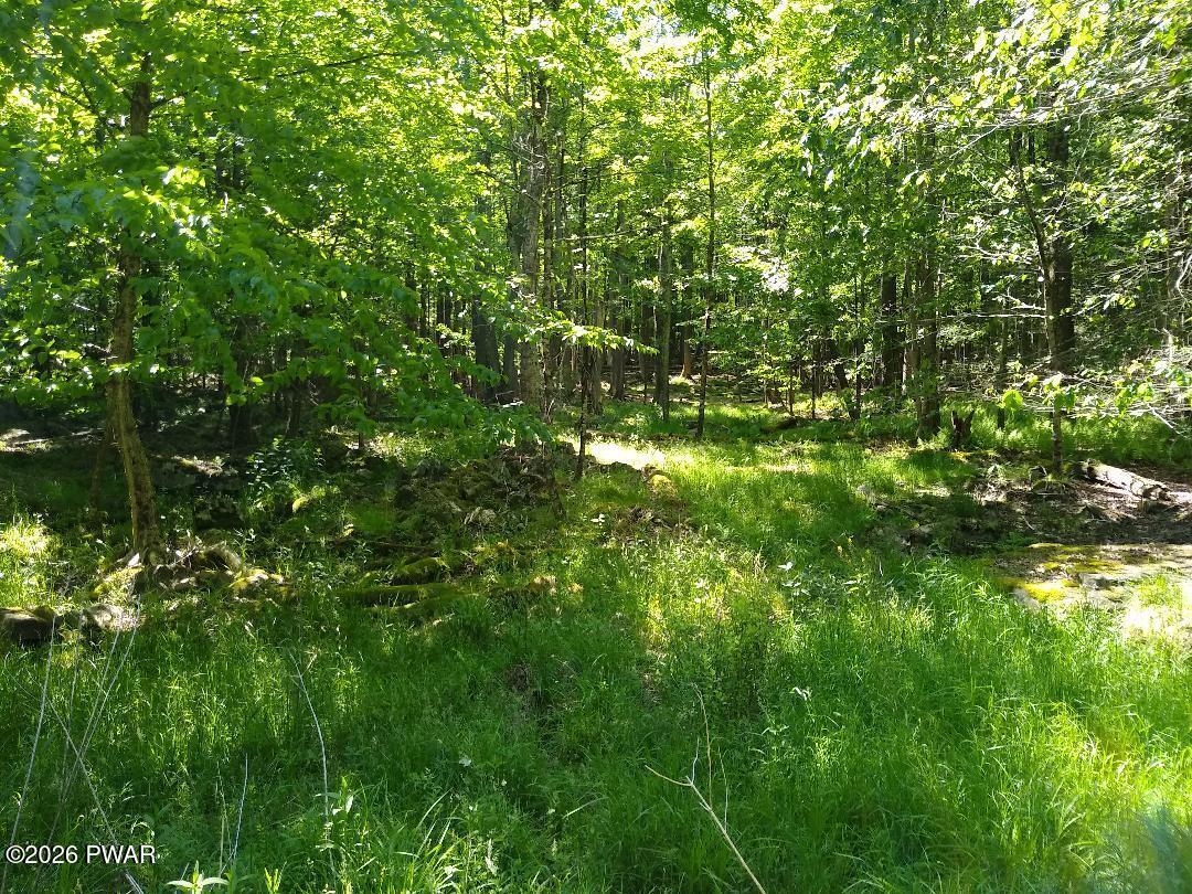 Creek Road Hawley, PA 18428 - Photo 13 of 13