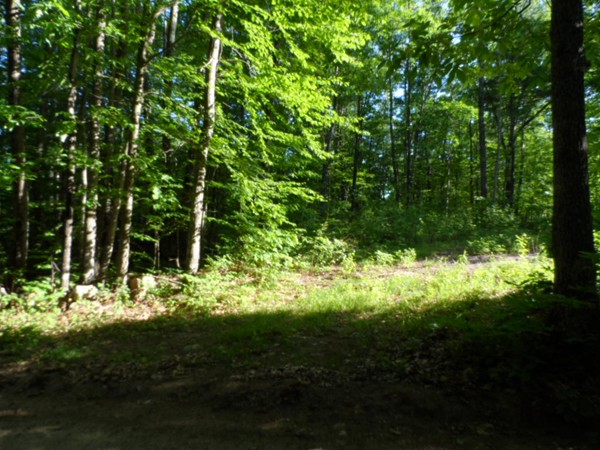 7 Wigwam Road North Brookfield, MA 01535 - Photo 1 of 3 Gallery Image 1
