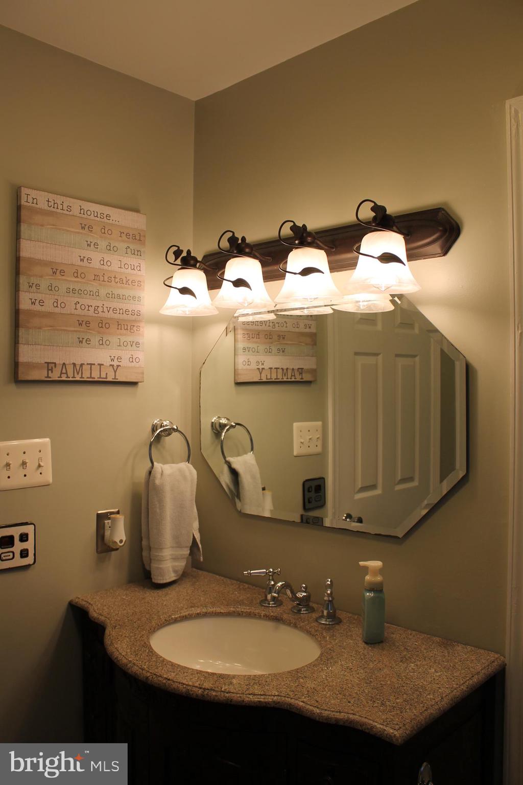 1615 Pleasant View Road Mount Jackson, VA 22842 - Photo 48 of 131 Bath Main Level