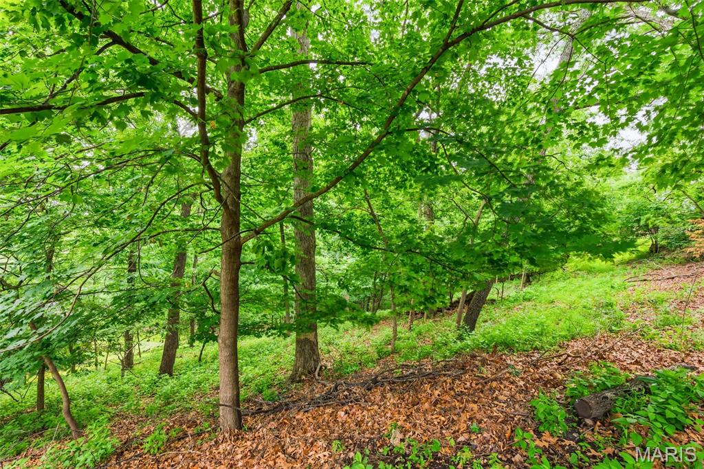 5063 Oak Bluff Drive High Ridge, MO 63049 - Photo 77 of 90