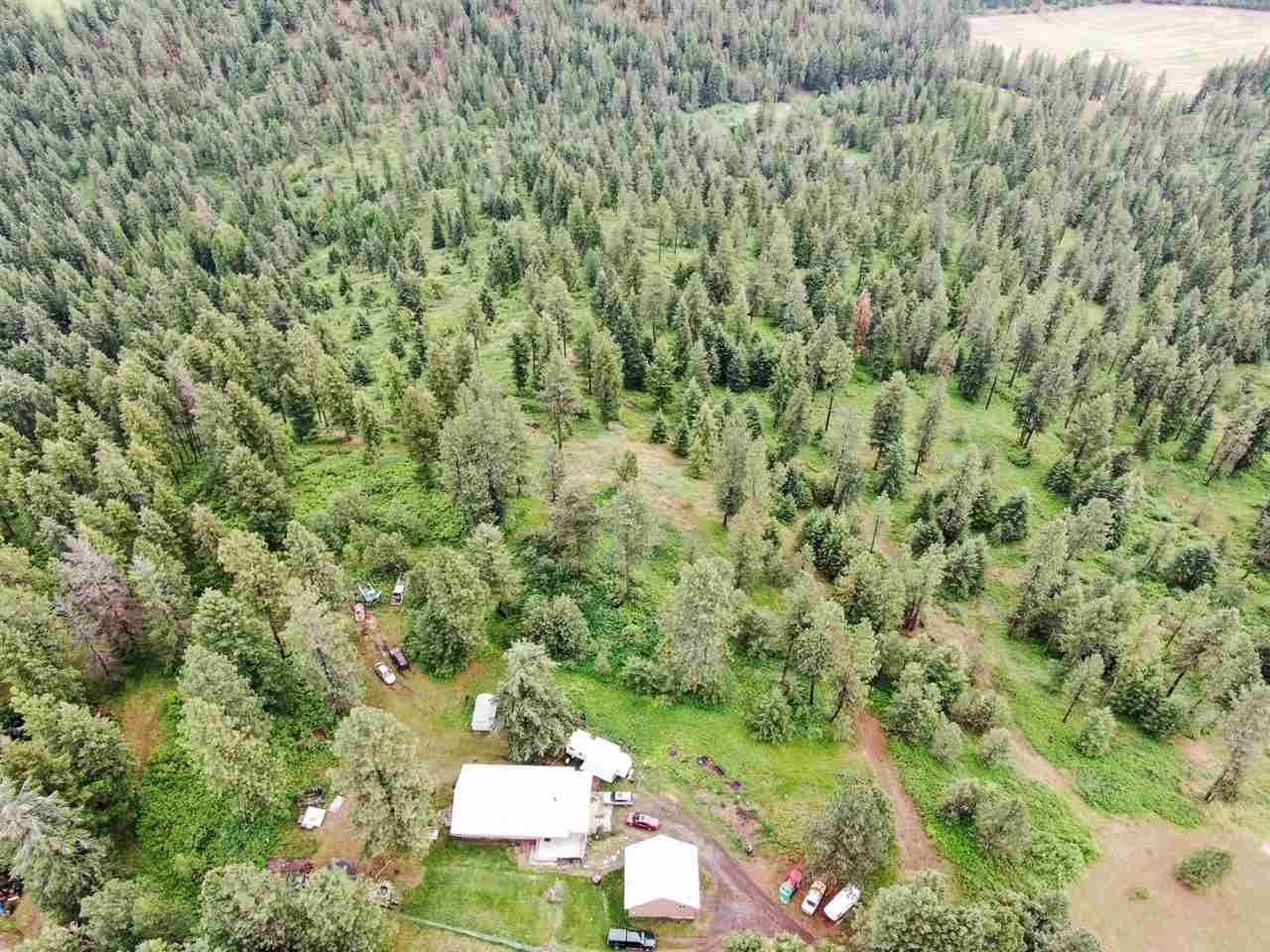 17006 North Sands Road Mead, WA 99021 - Photo 2 of 20