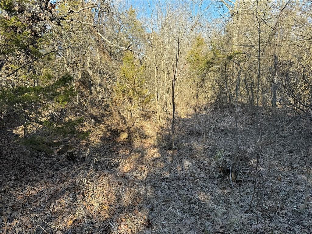 50801 South 36300th Road Cleveland, OK 74020 - Photo 74 of 88