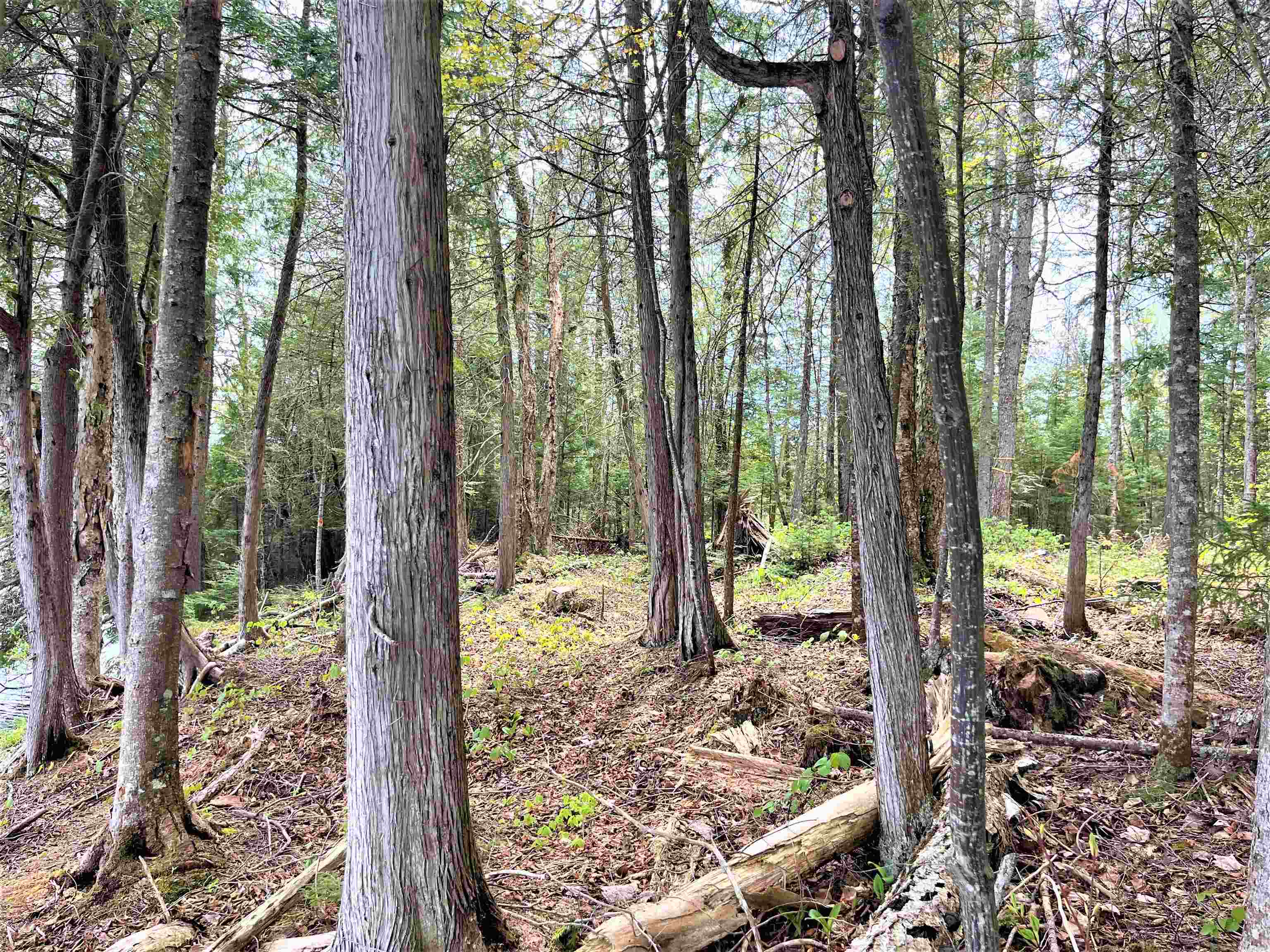 1187 Morgan Charleston Road, Unit LOT 3 Morgan, VT 05872 - Photo 10 of 10