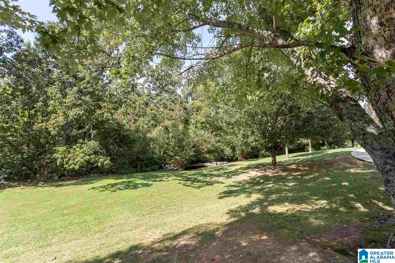 1495 Sawyer Mountain Road Oneonta, AL 35121 - Photo 35 of 39