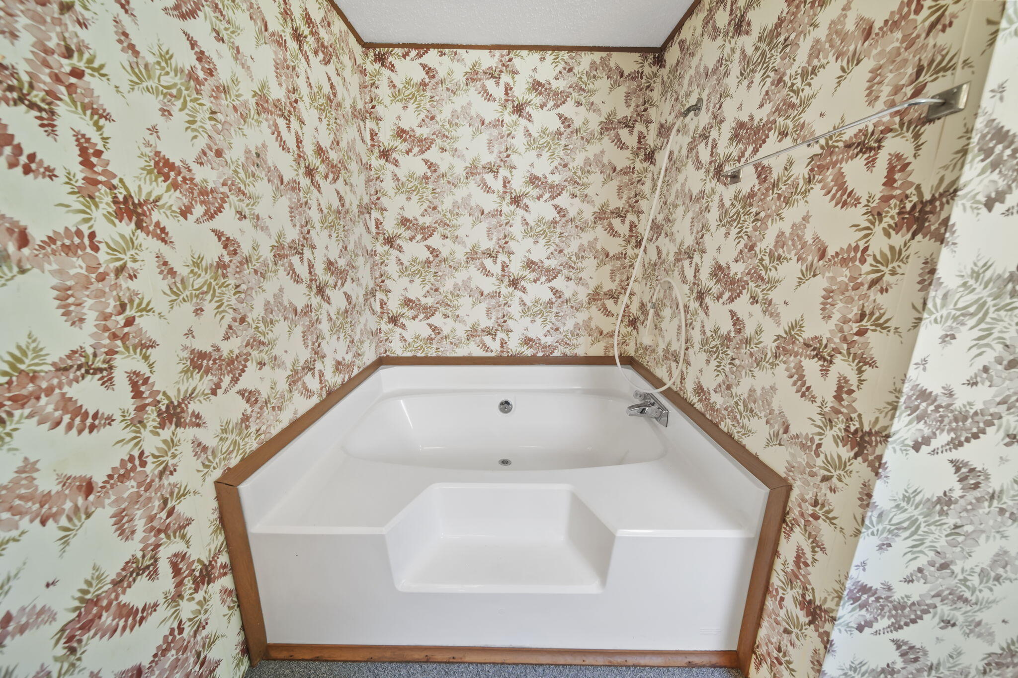 607 Falahee Road Jackson, MI 49203 - Photo 15 of 29 19-web-or-mls-DSC03459