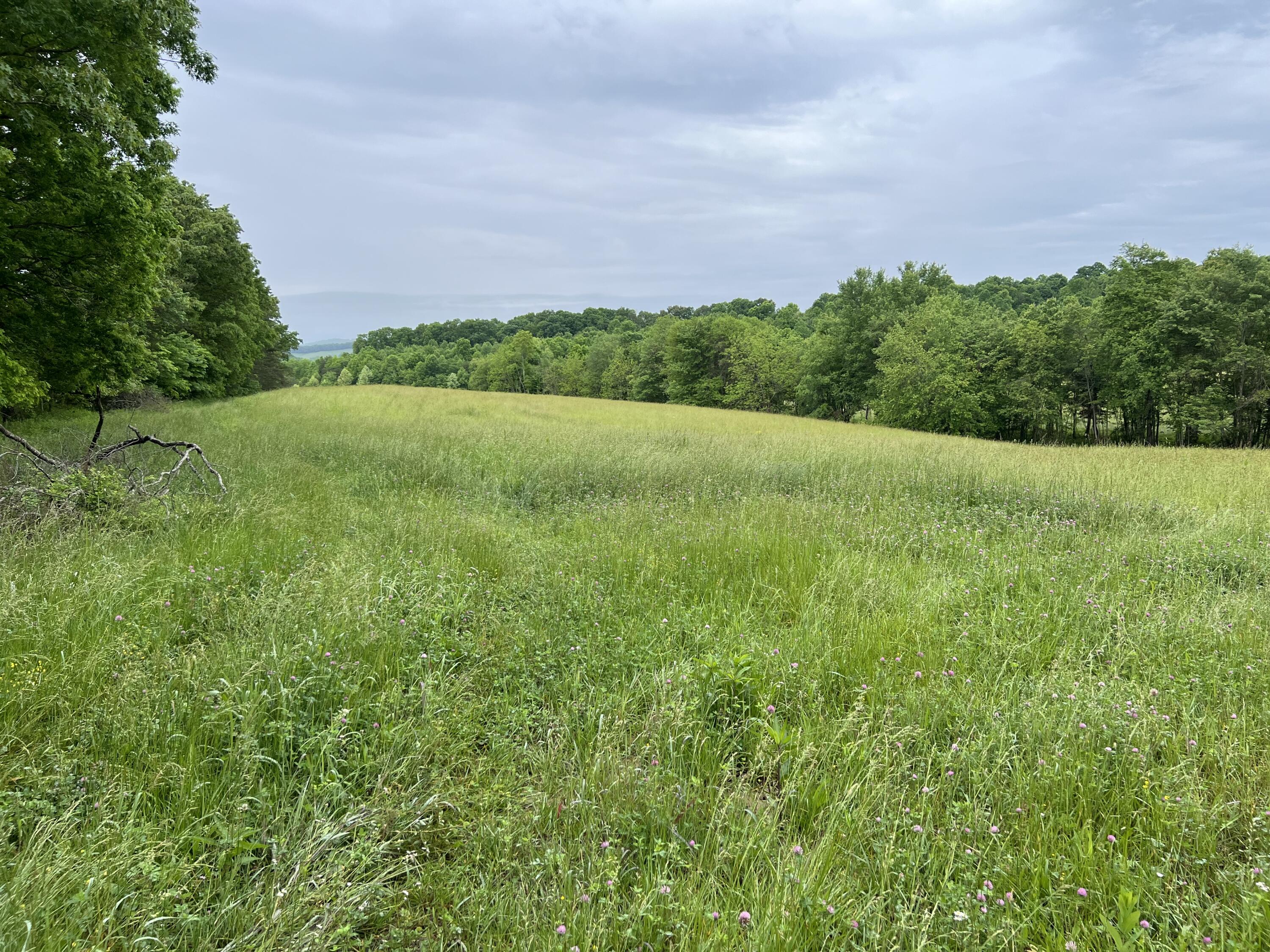 0 Eberle Road McKee, KY 40447 - Photo 10 of 12 IMG_2878