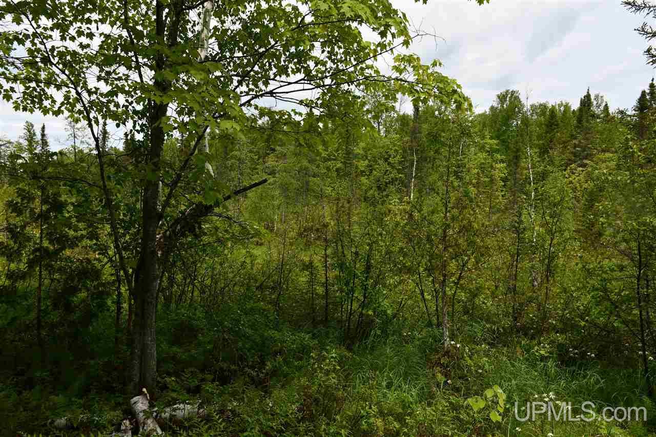 Tbd Mud Lake Road Lake Linden, MI 49945 - Photo 15 of 28