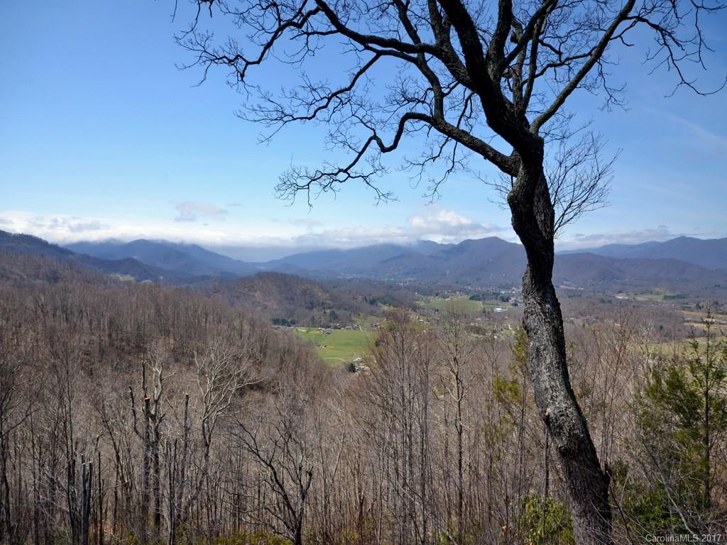 600 Brandywine Road, Unit 8 Waynesville, NC 28786 - Photo 16 of 18 a view of a yard with a tree