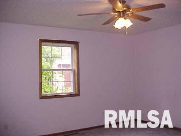 6549 Mace Road Thompsonville, IL 62890 - Photo 5 of 12