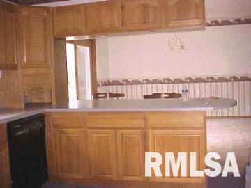 6549 Mace Road Thompsonville, IL 62890 - Photo 8 of 12