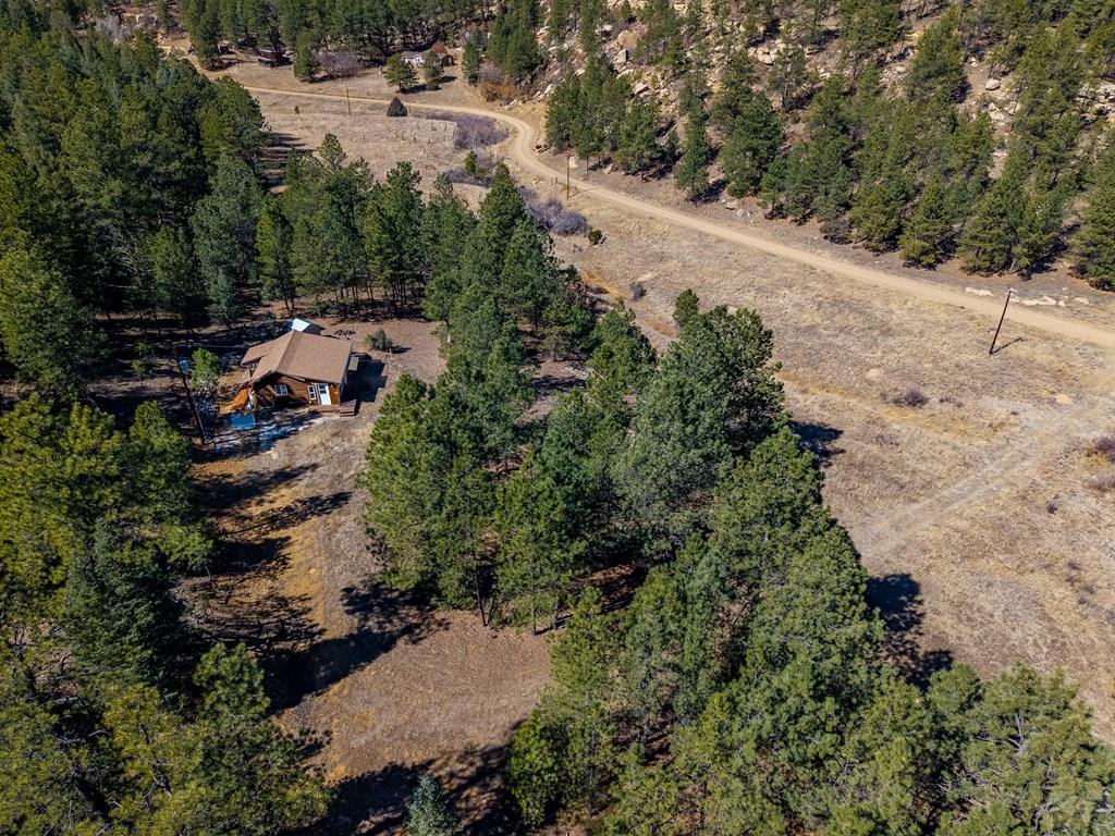 Tbd Dude Canyon Road Weston, CO 81091 - Photo 15 of 32