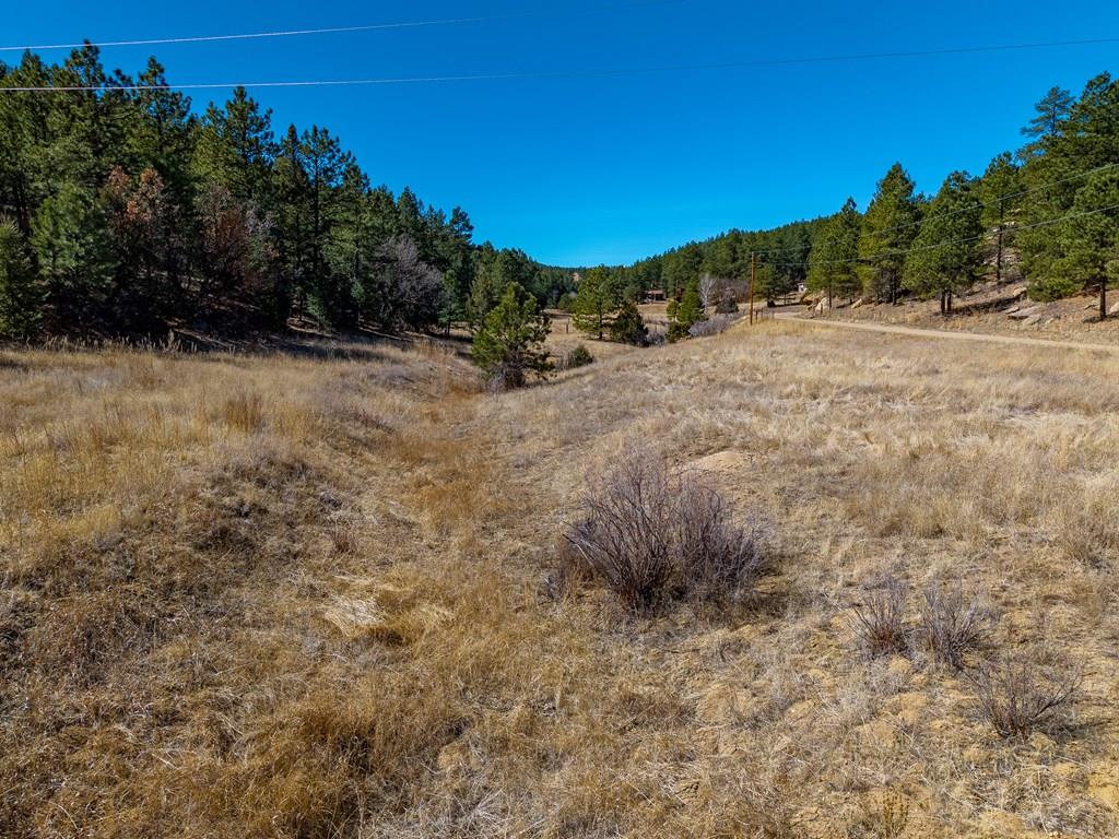 Tbd Dude Canyon Road Weston, CO 81091 - Photo 17 of 32