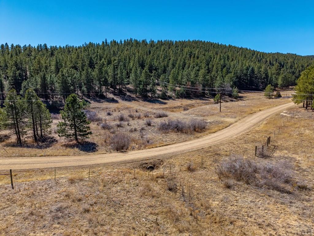 Tbd Dude Canyon Road Weston, CO 81091 - Photo 25 of 32