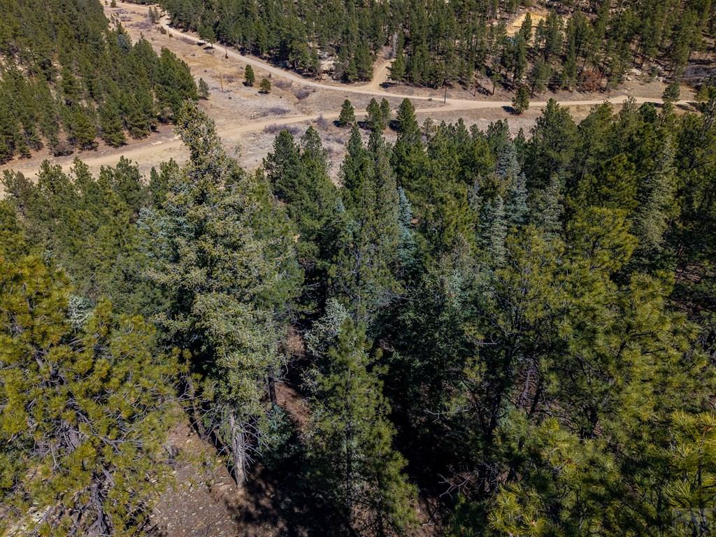 Tbd Dude Canyon Road Weston, CO 81091 - Photo 27 of 32