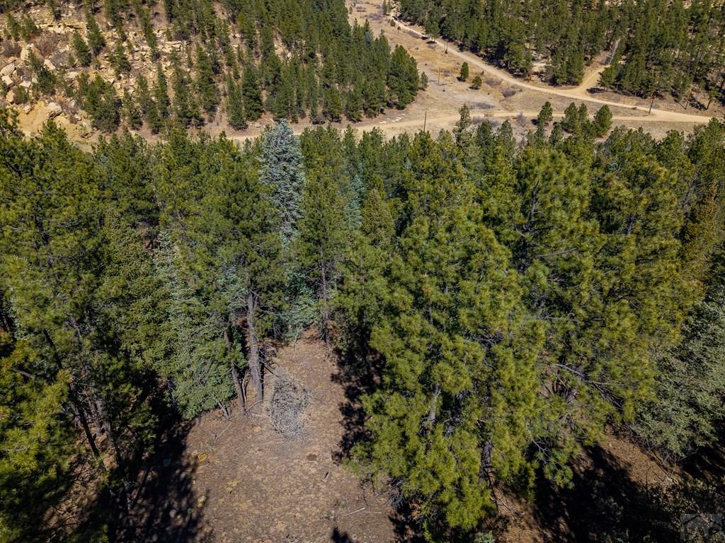 Tbd Dude Canyon Road Weston, CO 81091 - Photo 28 of 32