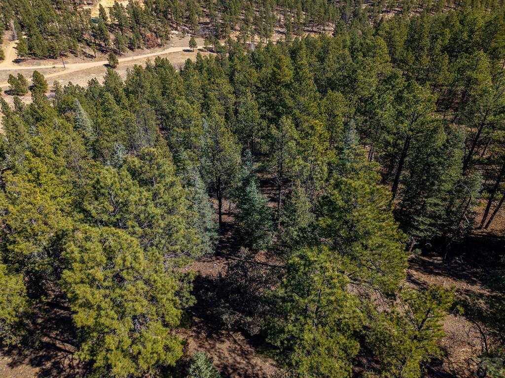 Tbd Dude Canyon Road Weston, CO 81091 - Photo 29 of 32