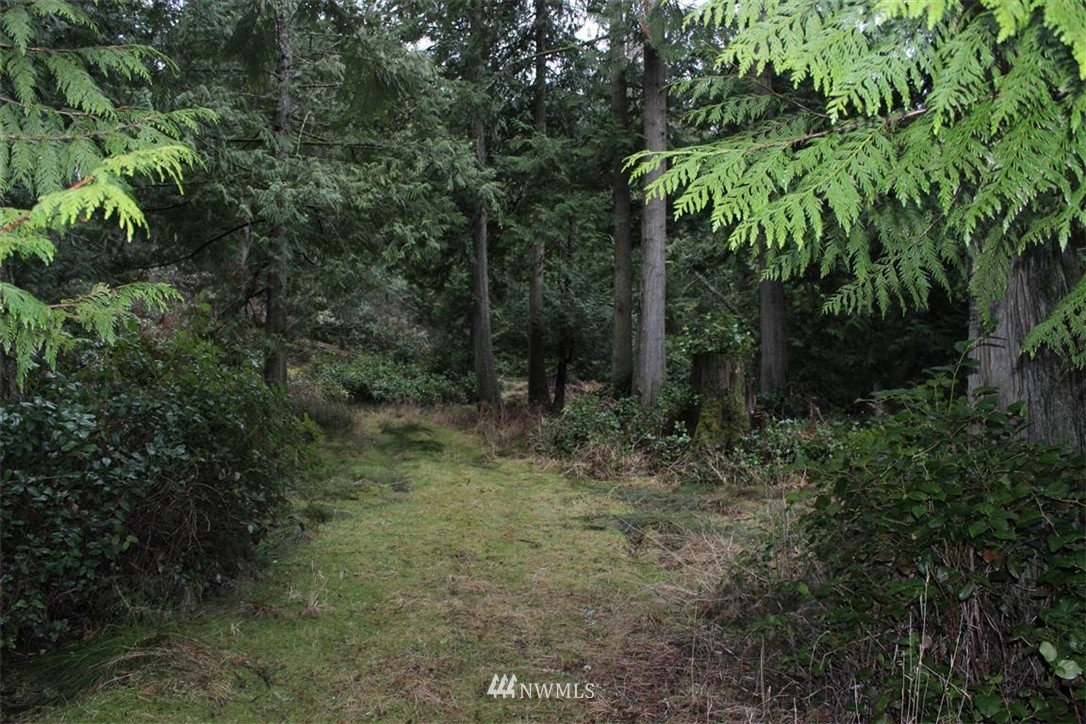 -xxx Biendl Road Shaw Island, WA 98286 - Photo 1 of 20 Gallery Image 1