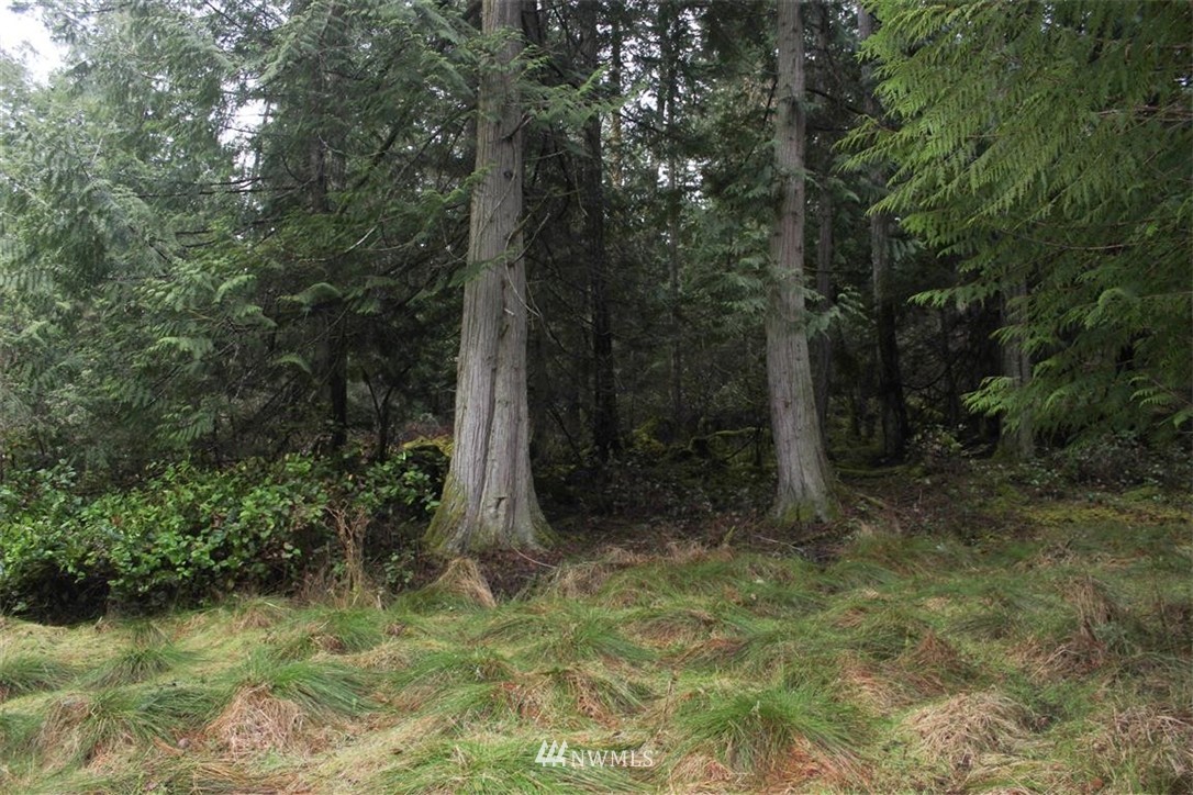 -xxx Biendl Road Shaw Island, WA 98286 - Photo 2 of 20 Gallery Image 2