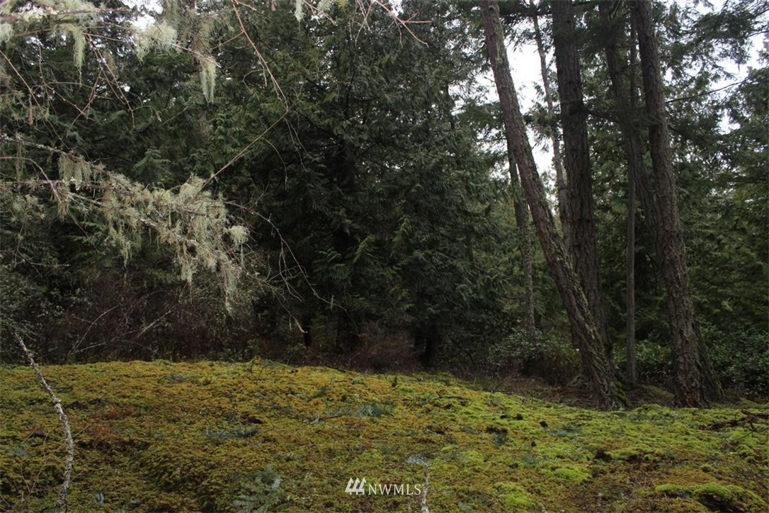 -xxx Biendl Road Shaw Island, WA 98286 - Photo 11 of 20 Gallery Image 11