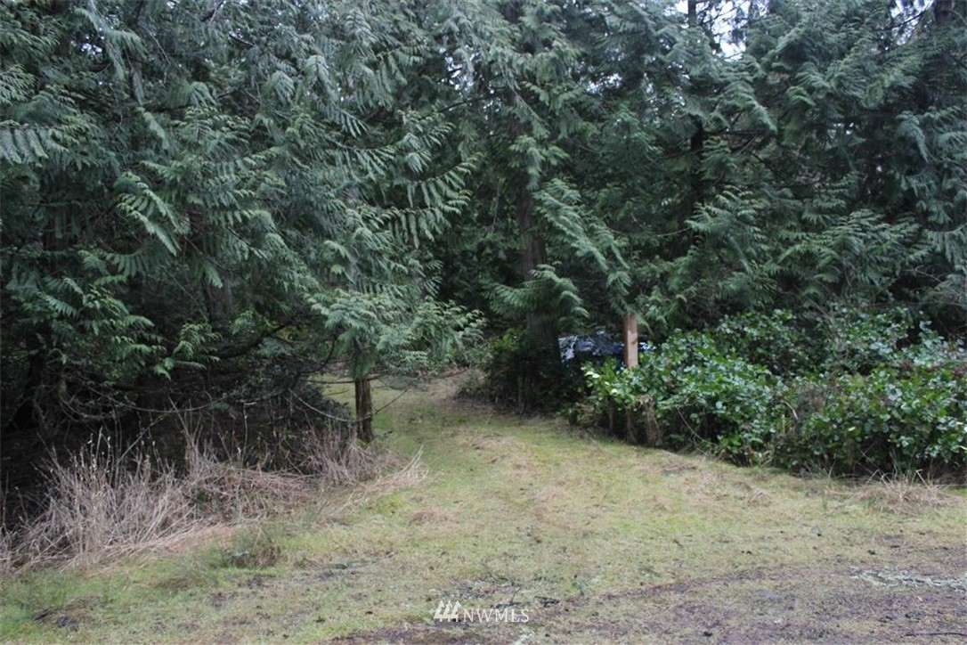 -xxx Biendl Road Shaw Island, WA 98286 - Photo 12 of 20 Gallery Image 12