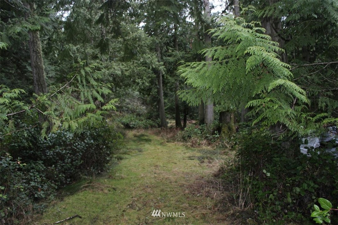 -xxx Biendl Road Shaw Island, WA 98286 - Photo 13 of 20 Gallery Image 13