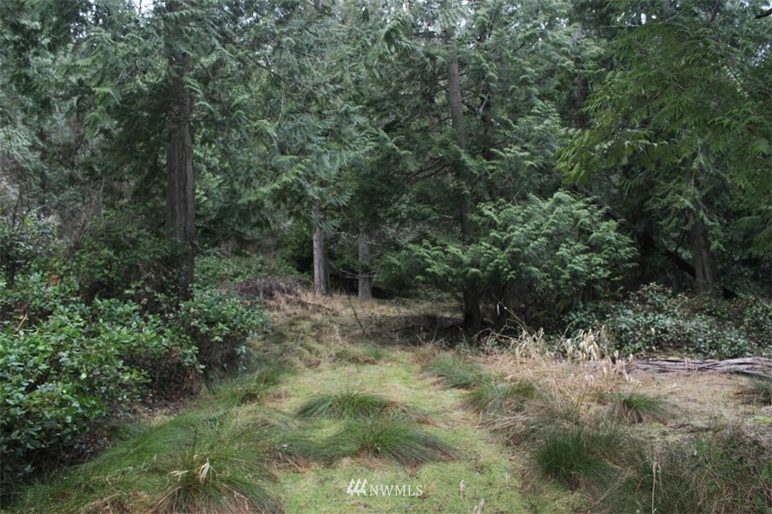 -xxx Biendl Road Shaw Island, WA 98286 - Photo 14 of 20 Gallery Image 14