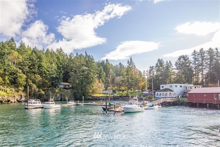 -xxx Biendl Road Shaw Island, WA 98286 - Photo 20 of 20 Gallery Image 20