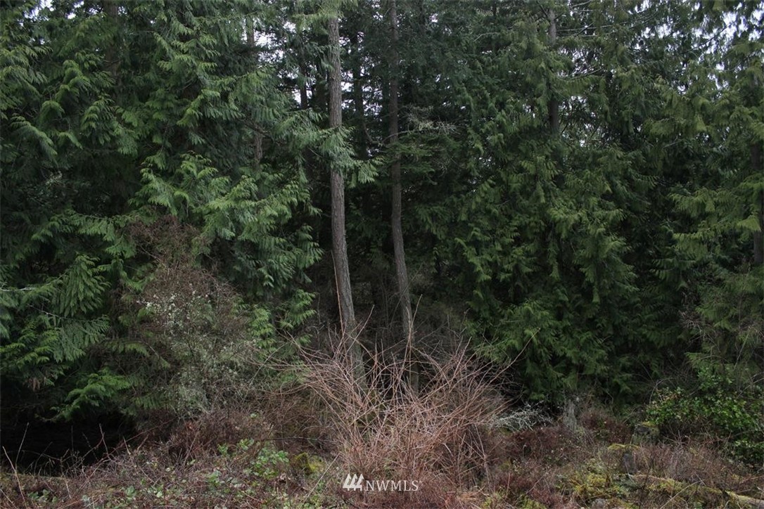 -xxx Biendl Road Shaw Island, WA 98286 - Photo 3 of 20 Gallery Image 3