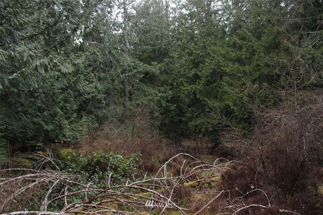 -xxx Biendl Road Shaw Island, WA 98286 - Photo 4 of 20 Gallery Image 4
