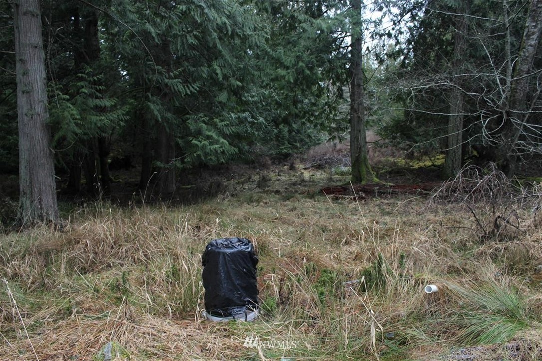 -xxx Biendl Road Shaw Island, WA 98286 - Photo 5 of 20 Gallery Image 5