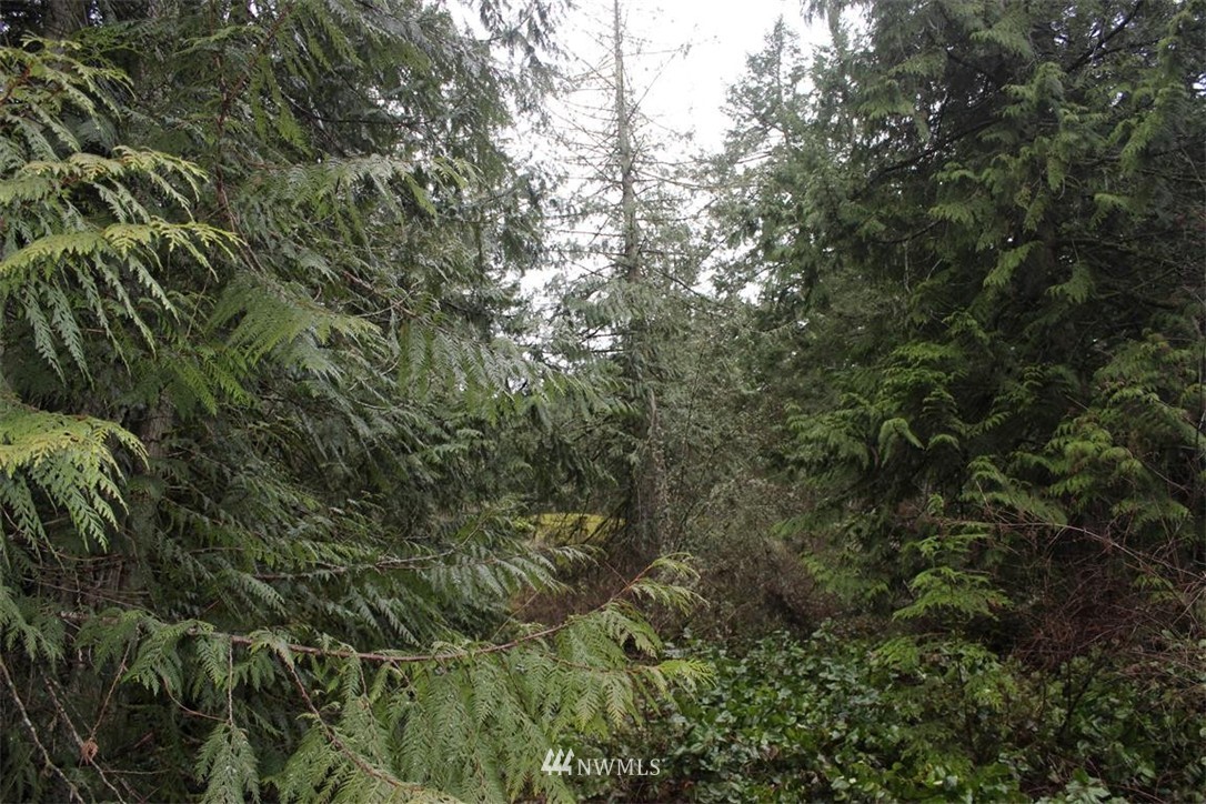 -xxx Biendl Road Shaw Island, WA 98286 - Photo 6 of 20 Gallery Image 6