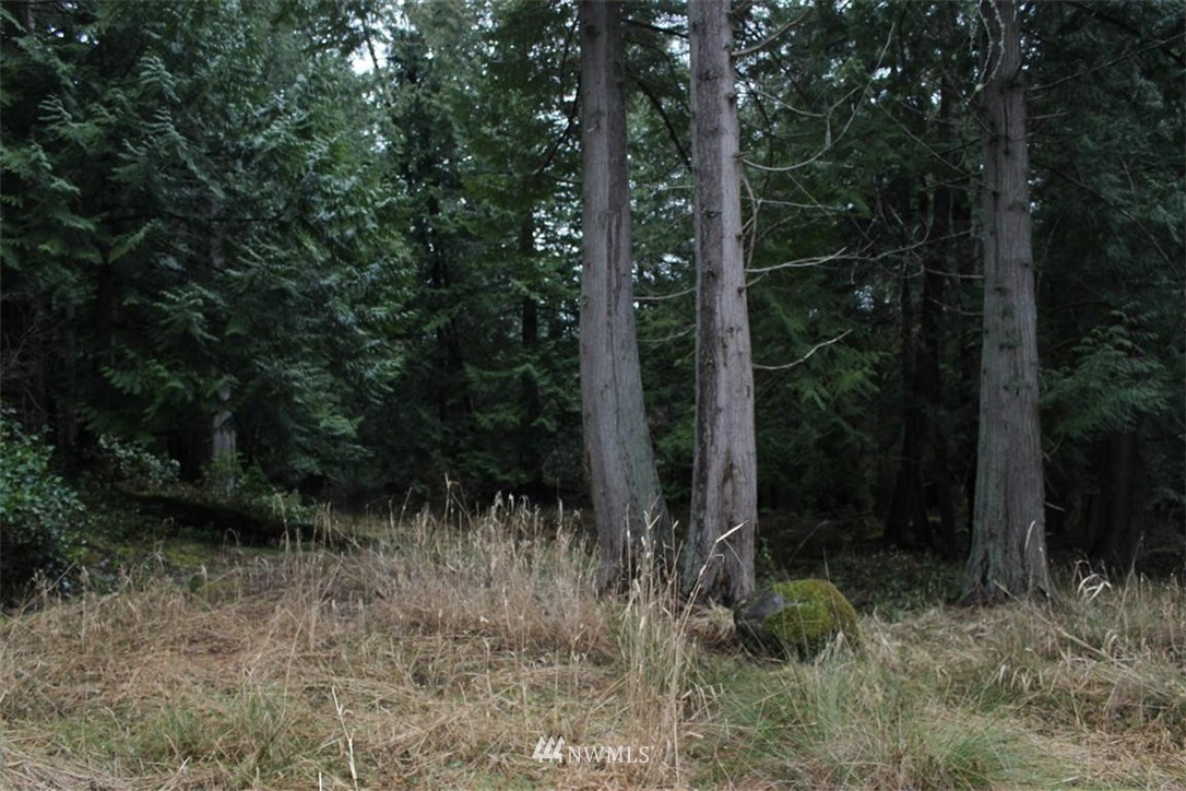 -xxx Biendl Road Shaw Island, WA 98286 - Photo 7 of 20 Gallery Image 7