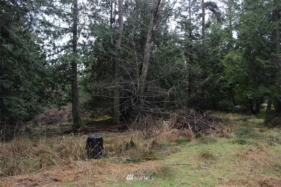 -xxx Biendl Road Shaw Island, WA 98286 - Photo 8 of 20 Gallery Image 8