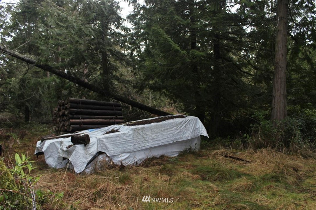 -xxx Biendl Road Shaw Island, WA 98286 - Photo 9 of 20 Gallery Image 9