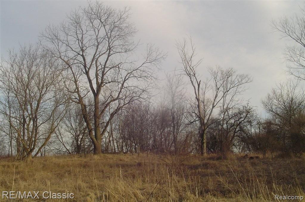 Vl Wiggins Road Howell, MI 48855 - Photo 16 of 25 Misc Wiggins VL 043.JPG
