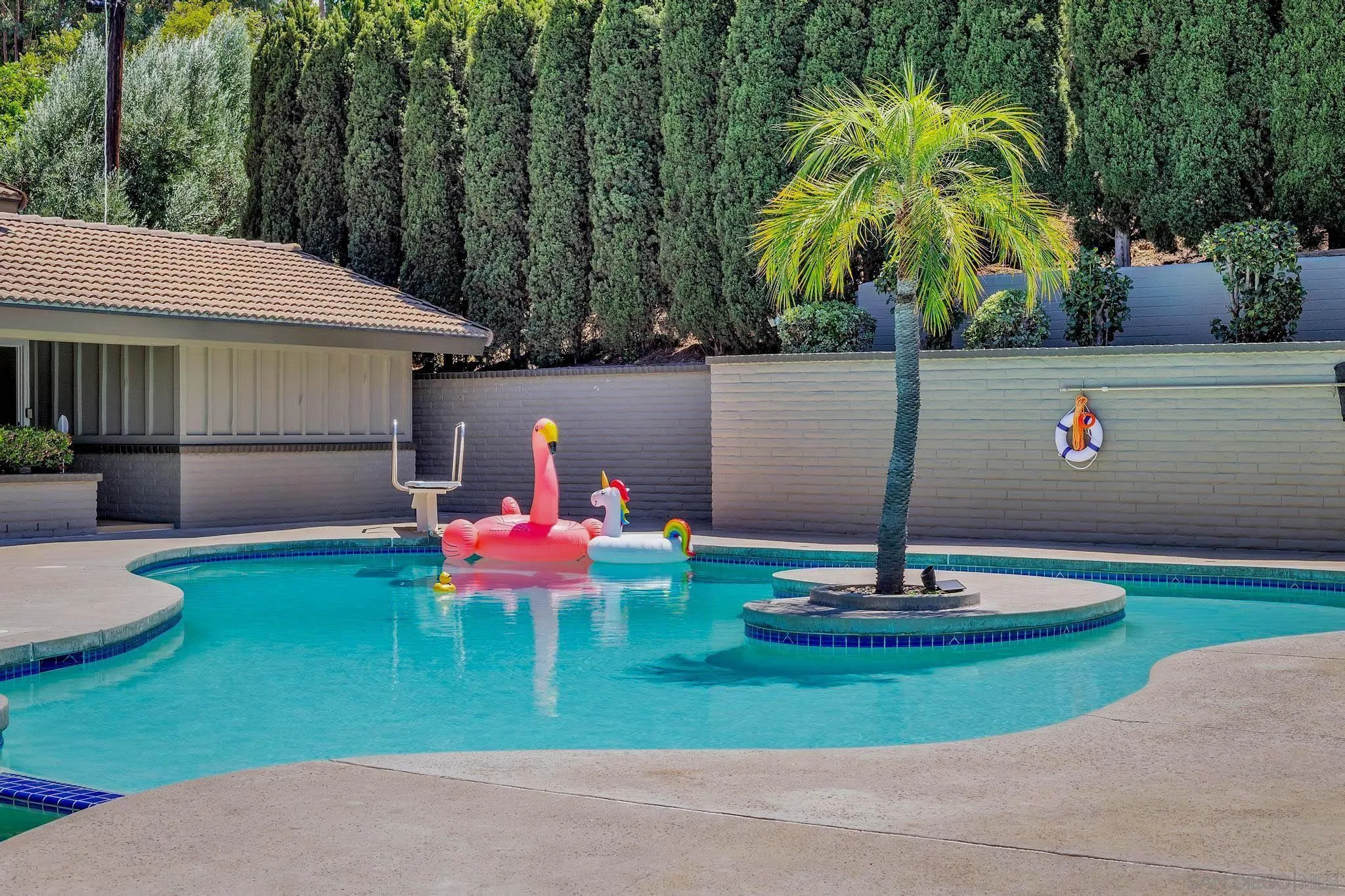 9817 Edgar Place La Mesa, CA 91941 - Photo 3 of 47 a view of a backyard with plants