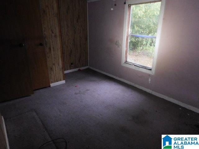 231 New River Road Eldridge, AL 35554 - Photo 8 of 15