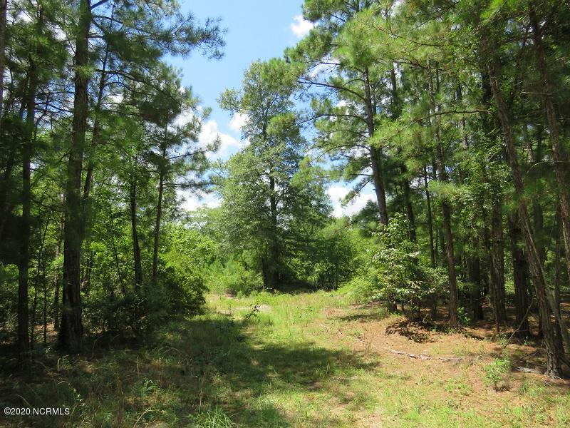 9671 Hardwick Road Nichols, SC 29581 - Photo 28 of 43 IMG_0395